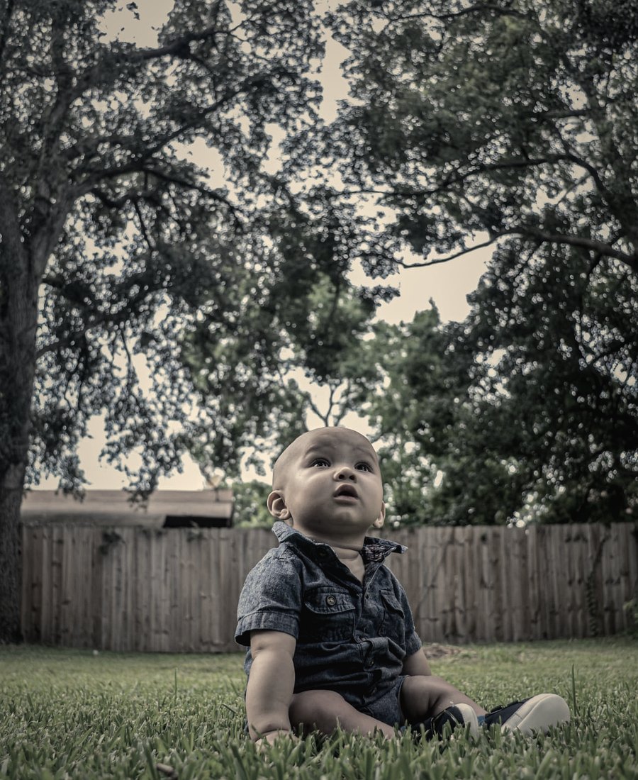 A baby sitting in the grass looking up at the trees